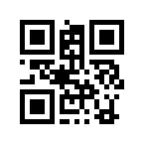 QR code 9173