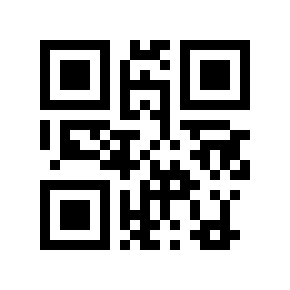QR code 9199