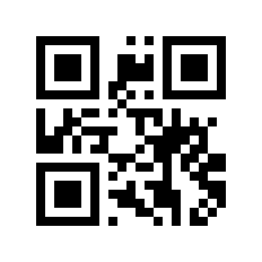 QR code 9561006