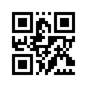 QR code 9804