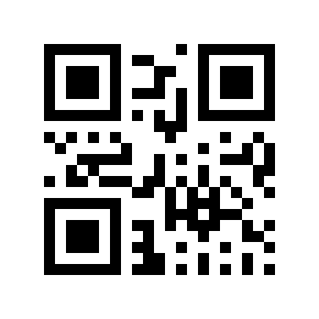 QR code 995856