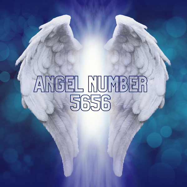angel number 5656